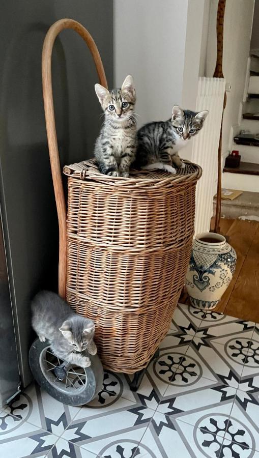 Maison Du Bonheur Villiers-sur-Marne Esterno foto